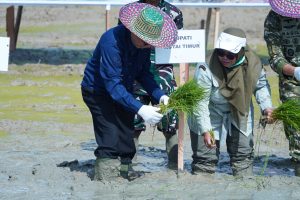 Tingkatkan Ketahanan Pangan, Kutim Siapkan 20.000 Hektare Lahan!