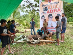 Semarak Idul Adha, PKS Kutim Salurkan 16 Ekor Hewan Kurban