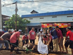 Semarak Idul Adha, PKS Kutim Salurkan 16 Ekor Hewan Kurban