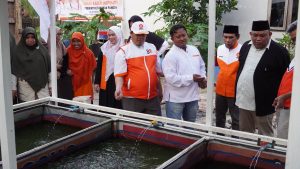 HUT PKS ke-24, Kader Penggerak Ketahanan Pangan Raih Penghargaan Inspiratif